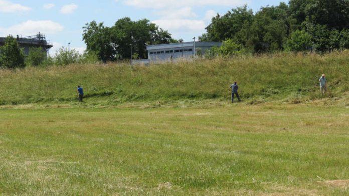 Deichmähen (Foto: SGD Süd)