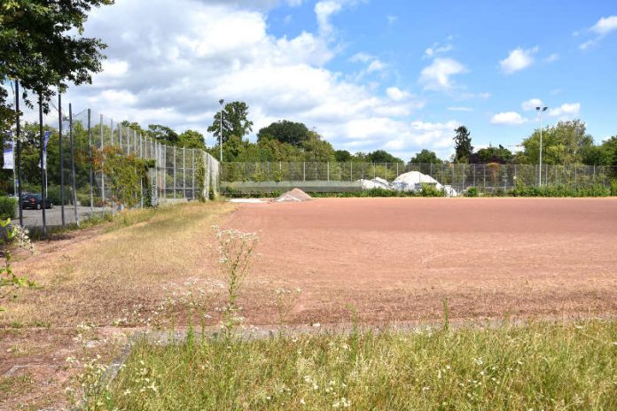 Auf dem Gelände des Jahnsportplatzes in Landau soll die neue Sporthalle West entstehen. (Foto: Stadt Landau in der Pfalz)