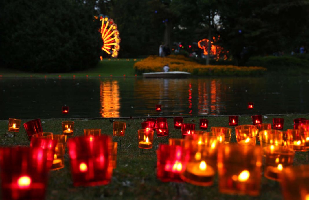 Lichterfest im Zoologischen Stadtgarten (Foto: Zoo Karlsruhe/Timo Deible)