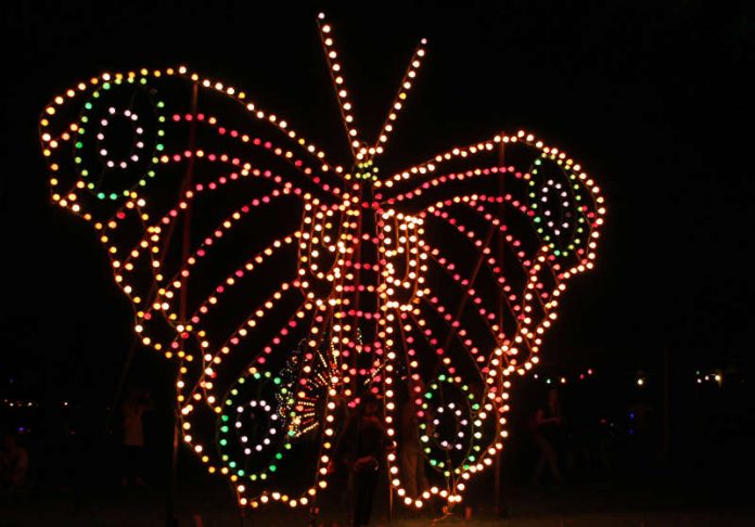 Ein Motiv beim diesjährigen Lichterfest im Zoologischen Stadtgarten (Foto: Zoo Karlsruhe/Timo Deible)