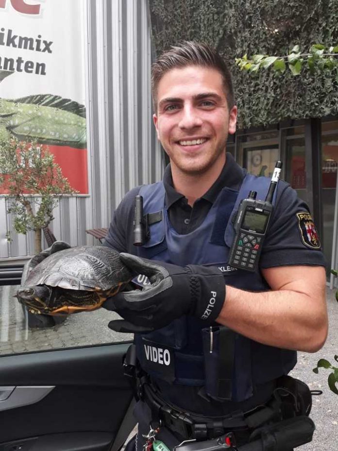 Beamter mit Schildkröte