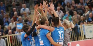 Der Volleyball-Erstligist VC Wiesbaden kommt zum Show-Training nach Fulda (Foto: Detlef Gottwald)