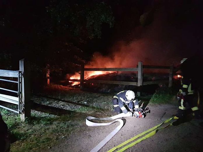 Auf einer Pferdekoppel brannte es (Foto: Feuerwehr Haßloch)