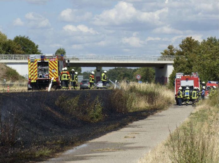 Böschungsbrand (Foto: Feuerwehr Neustadt)