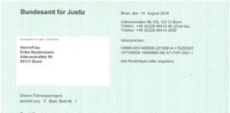 Muster des Europäischen Führungszeugnisses (Foto: Bundesamt für Justiz)