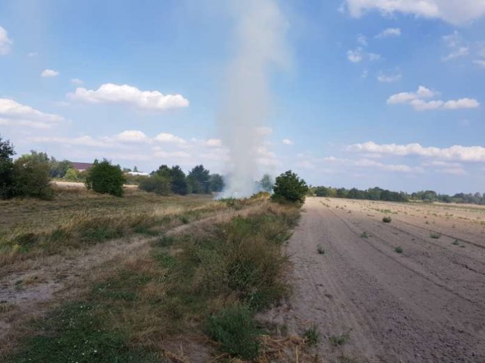 Eine Grasfläche brannte (Foto: Feuerwehr Haßloch)