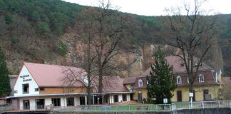 Pfalzmuseum Bad Dürkheim