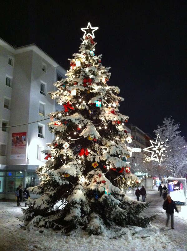 Weihnachtsbaum (Foto: LUKOM) Weihnachtsbaum (Foto: LUKOM)