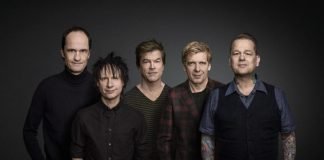 Die Toten Hosen. (Foto: Paul Ripke)