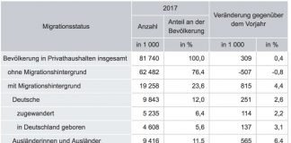 Bevölkerung 2017 in Privathaushalten nach Migrationsstatus (Quelle: Mikrozensus 2017)