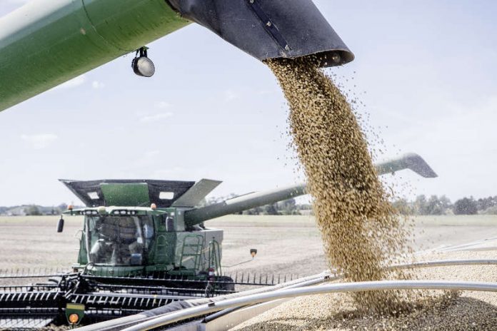 Der Abschluss der Transaktion bedeutet auch den Einstieg von BASF in das Geschäft mit Saatgut für Sojabohnen, Raps und Baumwolle. (Foto: BASF SE)