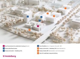 Grafik des städtebaulichen Entwurfs (Quelle: Stadt Heidelberg/Bruno Fioretti Marquez)