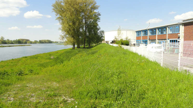 Der Rheinhochwasserdamm XXV (RDK) am Rheinhafen-Dampfkraftwerk (Foto: Regierungspräsidium Karlsruhe)