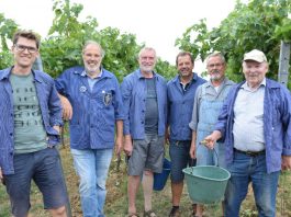Martin Braun vom Weingut Braun, Edgar Römelt, Jochen Gleich, Werner Schmid, Rainer Zepke und Walter Weinert (Leisböhler WeinKultur Haßloch e.V.) (Foto: Jürgen Vogt)