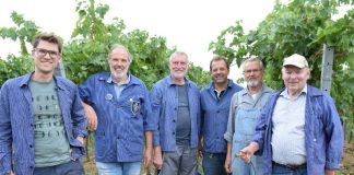 Martin Braun vom Weingut Braun, Edgar Römelt, Jochen Gleich, Werner Schmid, Rainer Zepke und Walter Weinert (Leisböhler WeinKultur Haßloch e.V.) (Foto: Jürgen Vogt)