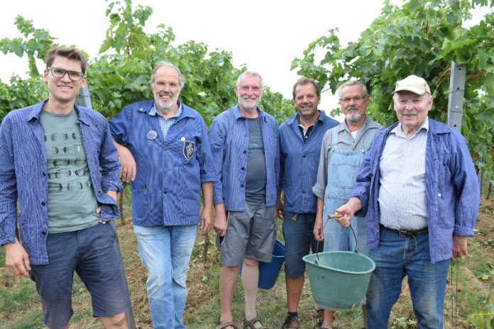 Martin Braun vom Weingut Braun, Edgar Römelt, Jochen Gleich, Werner Schmid, Rainer Zepke und Walter Weinert (Leisböhler WeinKultur Haßloch e.V.) (Foto: Jürgen Vogt)