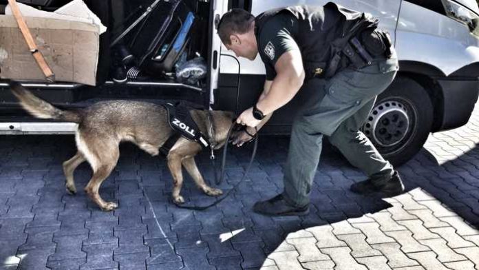 Zollkontrolle - Spürhund im Einsatz