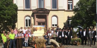 Gruppenfoto (Foto: Stadtverwaltung Sinsheim)