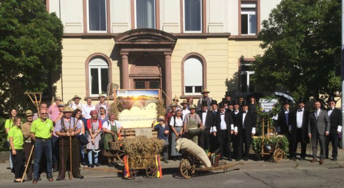 Gruppenfoto (Foto: Stadtverwaltung Sinsheim)