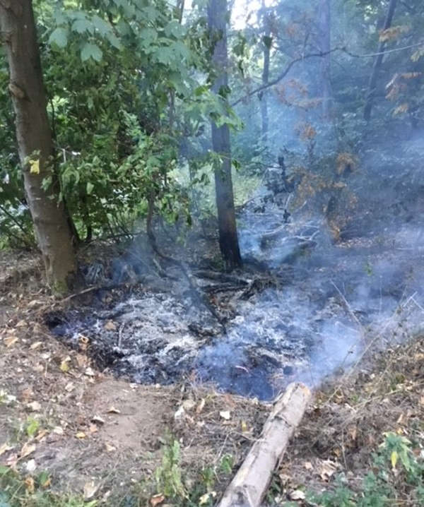 Bodenfeuer (Foto: Feuerwehr Wiesbaden)