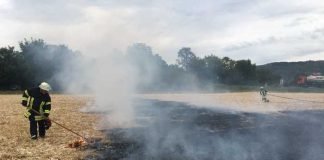 Flächenbrand