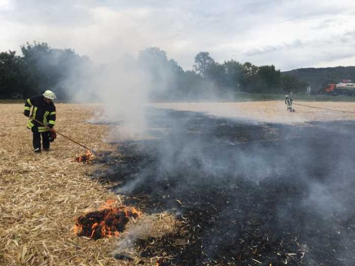 Flächenbrand