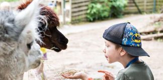Angebote der Zooschule im Herbst (Susanne Reichardt)