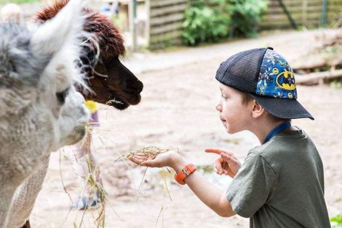 Angebote der Zooschule im Herbst (Susanne Reichardt)