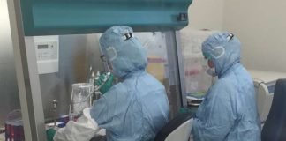 Die T-Zellen werden aus dem Blut des Patienten isoliert und anschließend gentechnisch so verändert, dass sie die bei bestimmten Leukämien und Lymphomen krankhaft veränderten Zellen angreifen können. (Foto: Universitätsklinikum Heidelberg)