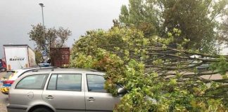 Sturmtief Fabienne richtete hohen Schaden an