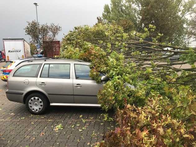 Sturmtief Fabienne richtete hohen Schaden an