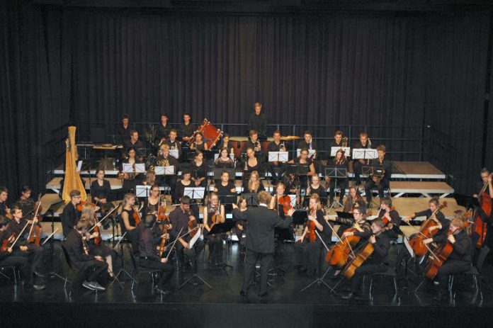 Junge Philhrmonie Neckartal-Odenwald (Foto: JPNO)