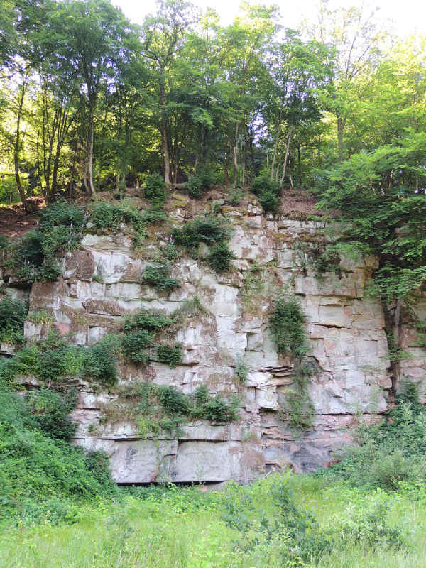 Sandsteinbruch (Foto: Stadt Eberbach Kultur-Tourismus-Stadtinformation)