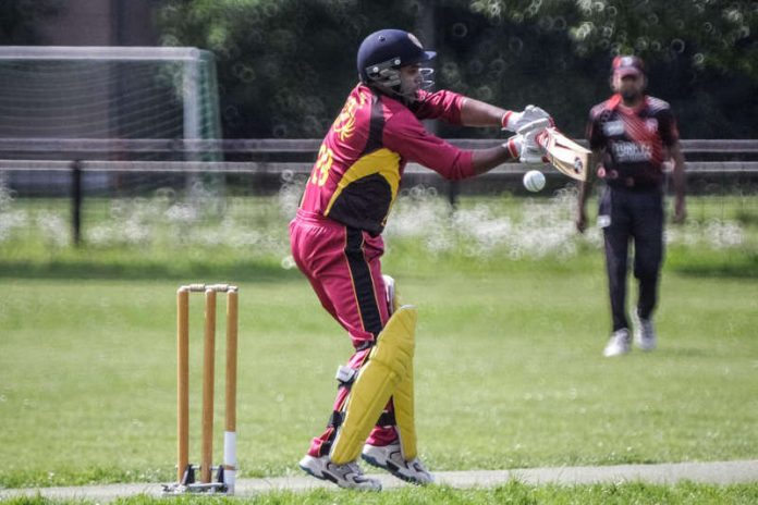 Cricket (Foto: SSC/Needham)