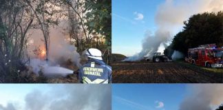 Die Collage zeigt Fotos vom Brandort