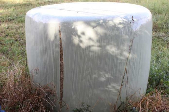 Das Bild zeigt einen der beschädigten Silage-Ballen. Alle elf Ballen wurden nach dem gleichen Muster zerschnitten.