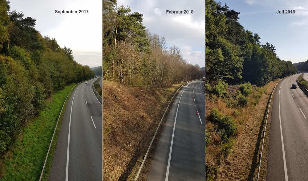 Abschnittweise auf den Stock setzen an der A 4 Fahrtrichtung West zwischen Wildeck-Hönebach und Friedewald: Die Arbeiten werden in dieser und in der nächsten Saison durch einen Auftragnehmer fortgesetzt. (Foto: Hessen Mobil)