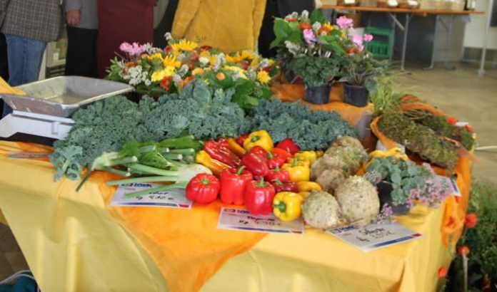 Frische, Vielfalt und Qualität aus der Region – der Tag der Landwirtschaft mit Bauernmarkt ist eine feste Institution im Landratsamt Karlsruhe.