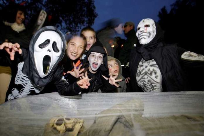 Halloween - Quelle: Stadtpark Mannheim gemeinnützige GmbH