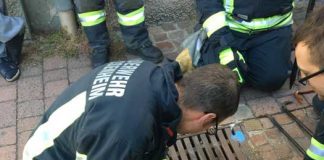 In diesem Gulli befand sich der Kater eingesperrt