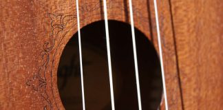 Symbolbild Ukulele (Foto: Pixabay)