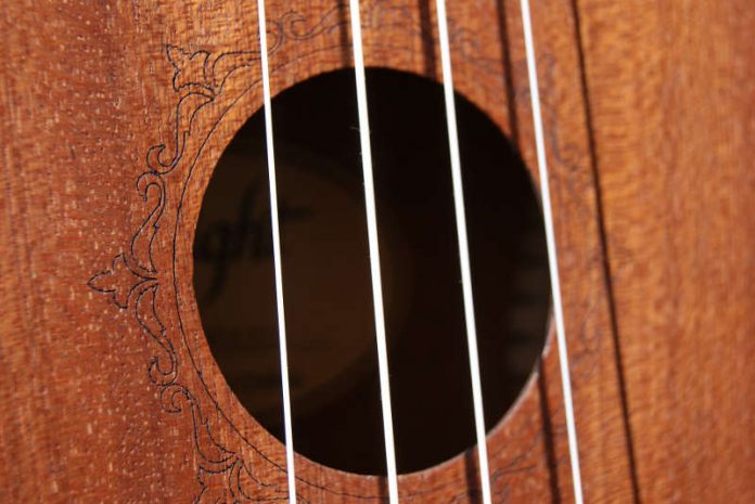 Symbolbild Ukulele (Foto: Pixabay)