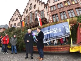 Aufstellung Weihnachtsbaum 2018: OB Peter Feldmann mit Schlüchterns Bürgermeister Matthias Möller vor dem Baum (Foto: Stadt Frankfurt/Rainer Rüffer)