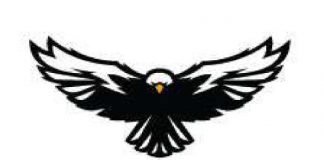 Logo 'Schwarze Adler' (Quelle: DRV)
