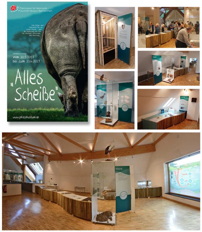 Die Sonderausstellung im Pfalzmuseum – auch zwischen den Feiertagen zu sehen (Foto: Pfalzmuseum) Die Sonderausstellung im Pfalzmuseum – auch zwischen den Feiertagen zu sehen (Foto: Pfalzmuseum)