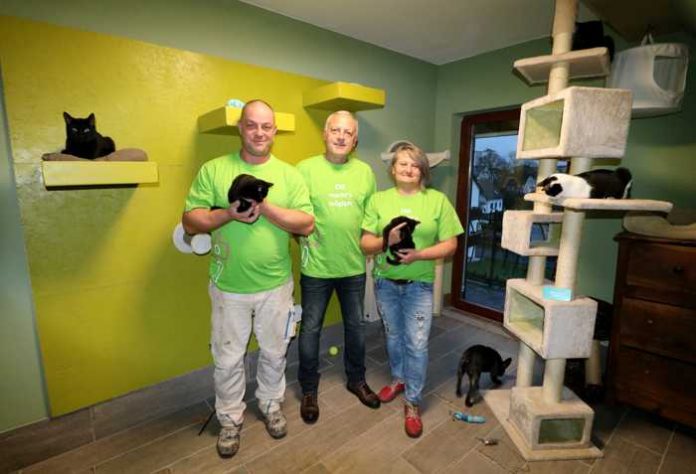 Katzenzimmer Foto: OIE AG Katzenzimmer Foto: OIE AG