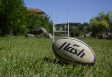 Symbolbild Rugby (Foto: Pixabay)