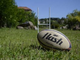 Symbolbild Rugby (Foto: Pixabay)