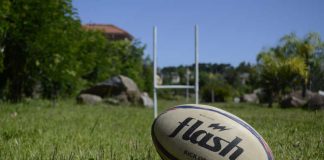 Symbolbild Rugby (Foto: Pixabay)