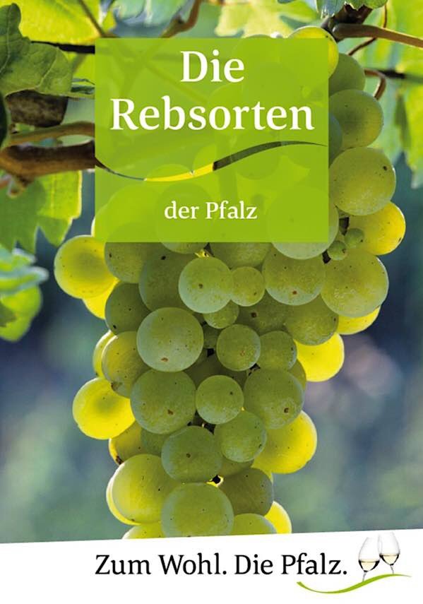 Die neue Broschüre (Foto: Pfalzwein e.V.)